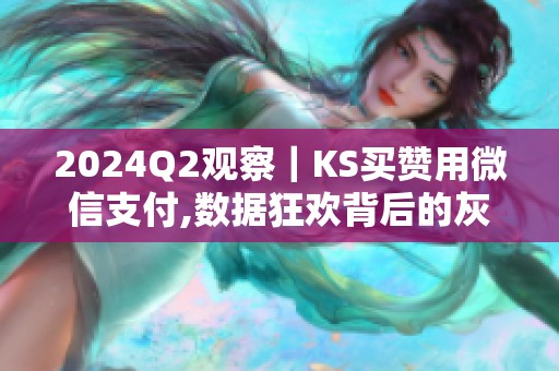 2024Q2观察｜KS买赞用微信支付,数据狂欢背后的灰色链