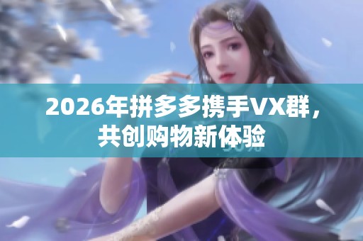 2026年拼多多携手VX群，共创购物新体验
