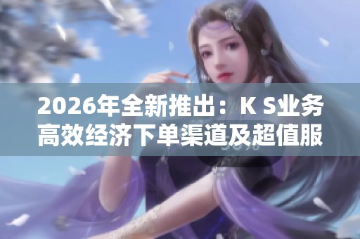 2026年全新推出：K S业务高效经济下单渠道及超值服务平台探索新低价策略