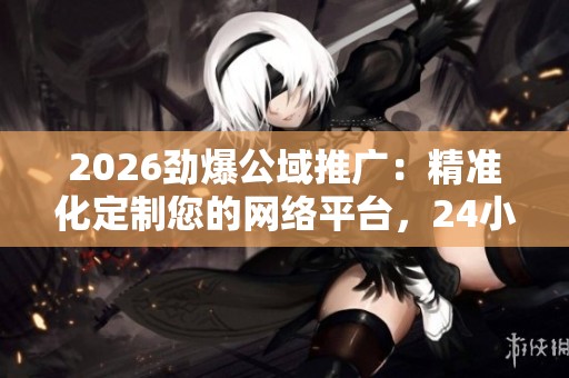 2026劲爆公域推广：精准化定制您的网络平台，24小时客服服务全方位受理