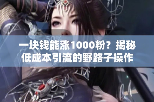 一块钱能涨1000粉？揭秘低成本引流的野路子操作
