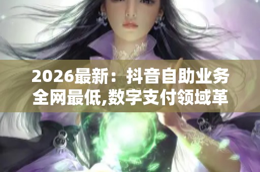 2026最新：抖音自助业务全网最低,数字支付领域革新加速全球金融