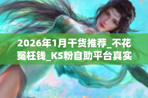 2026年1月干货推荐_不花冤枉钱_KS粉自助平台真实测评与避坑指南