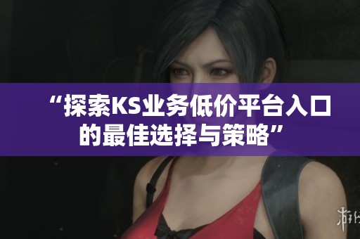 “探索KS业务低价平台入口的最佳选择与策略”