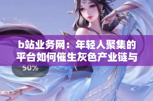 b站业务网：年轻人聚集的平台如何催生灰色产业链与管控挑战