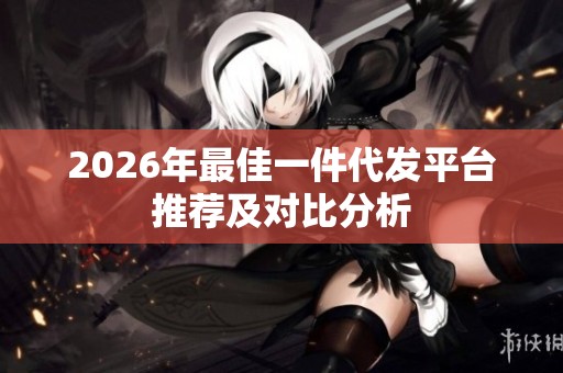 2026年最佳一件代发平台推荐及对比分析
