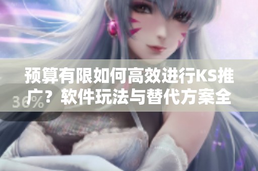 预算有限如何高效进行KS推广？软件玩法与替代方案全面解析